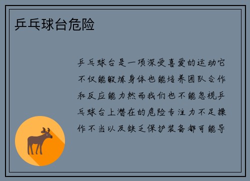 乒乓球台危险