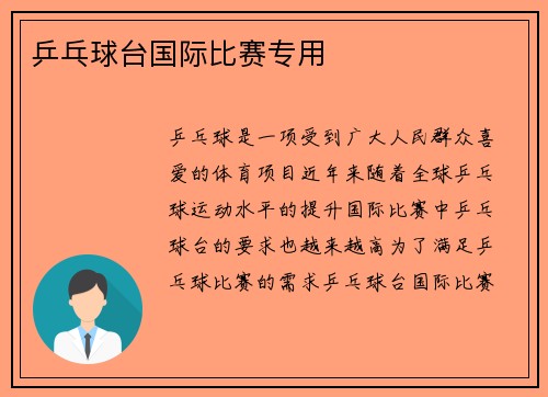 乒乓球台国际比赛专用
